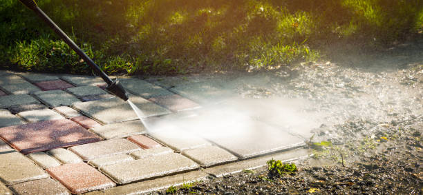 Best Driveway Pressure Washing  in Kenly, NC